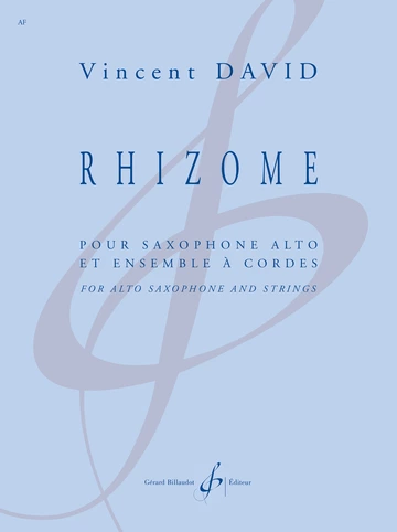 Rhizome Visual